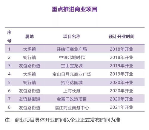宝山这样描绘发展蓝图 制造业 公共服务 文化产品 商业项目...全方位解析