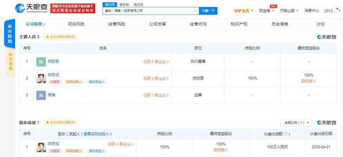 陈思成海南成立投资公司，业务涵盖资金投资与项目策划服务